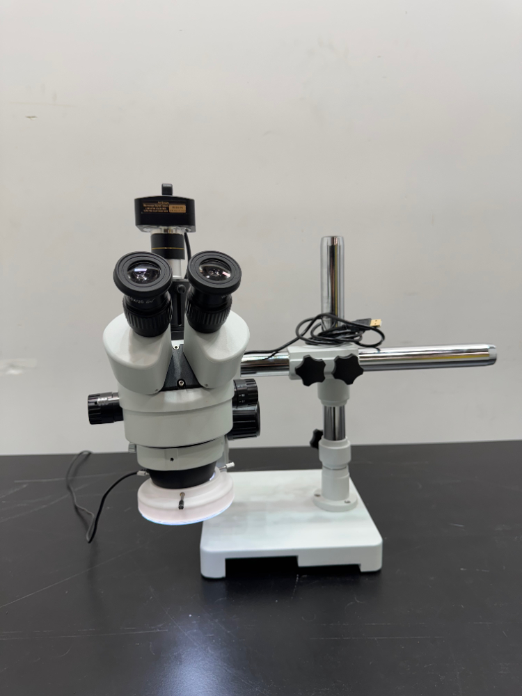 Image of Amscope Stereo Microscope